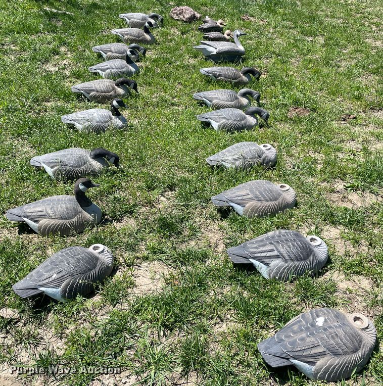 image for item IR9808 (20) duck decoys