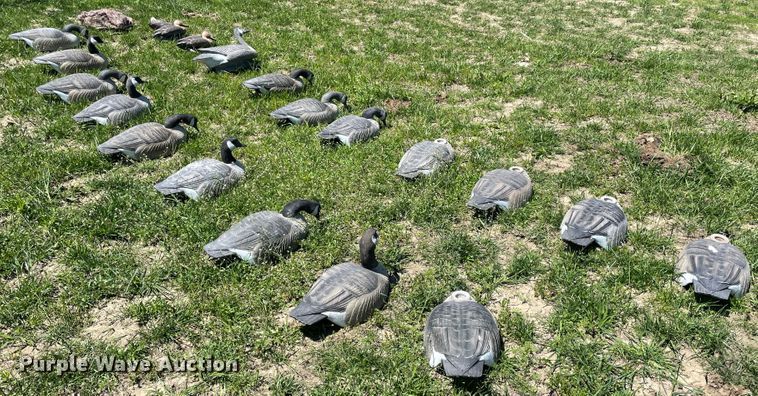 image for item IR9808 (20) duck decoys