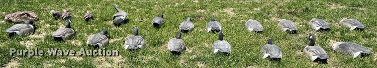 image for item IR9808 (20) duck decoys