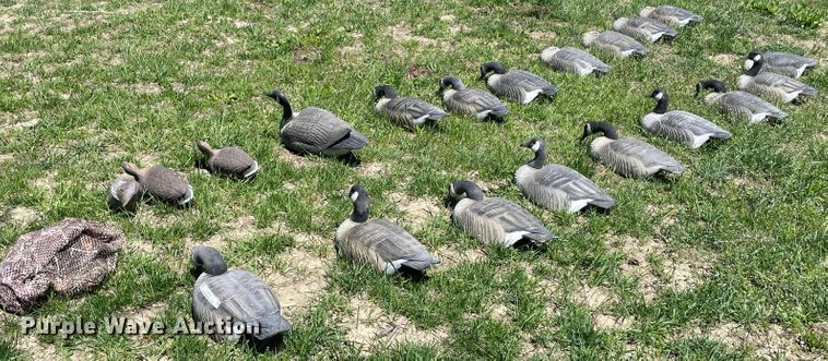 image for item IR9808 (20) duck decoys