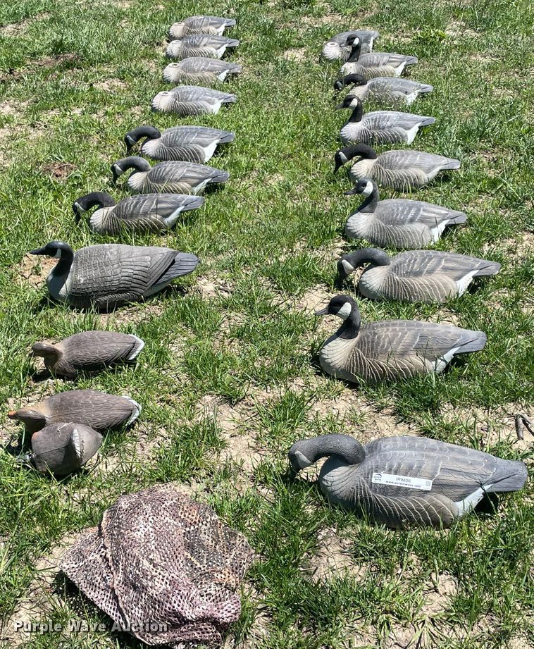 image for item IR9808 (20) duck decoys