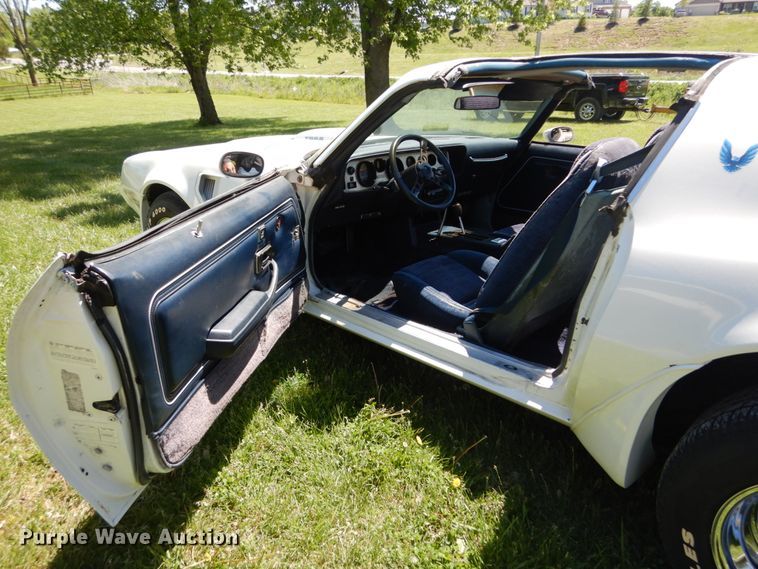 image for item IT9070 1980 Pontiac Trans Am