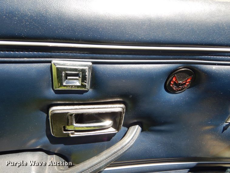 image for item IT9070 1980 Pontiac Trans Am