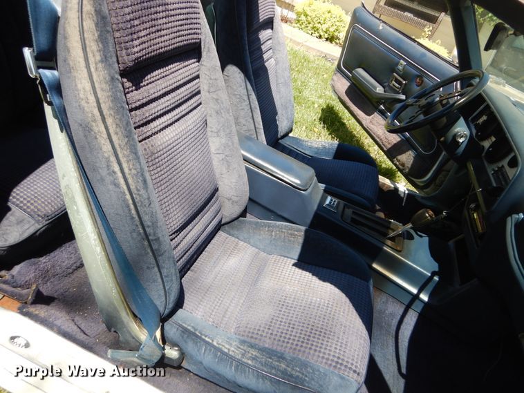 image for item IT9070 1980 Pontiac Trans Am