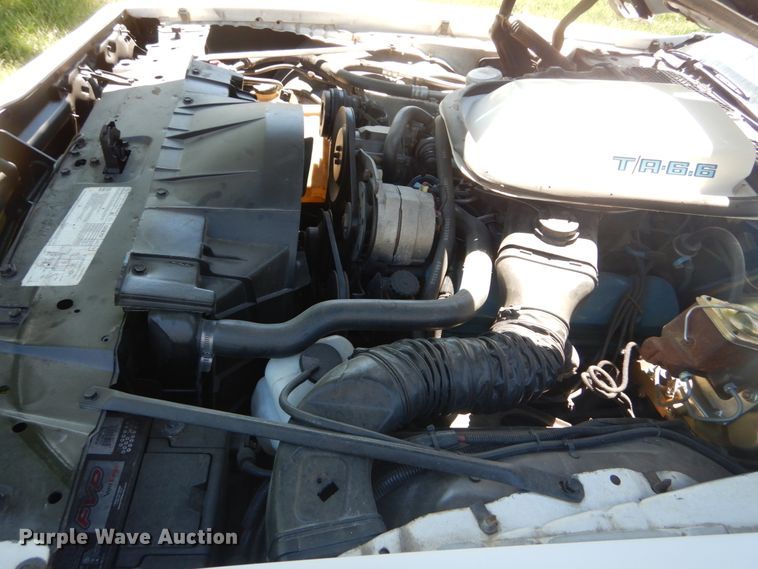 image for item IT9070 1980 Pontiac Trans Am