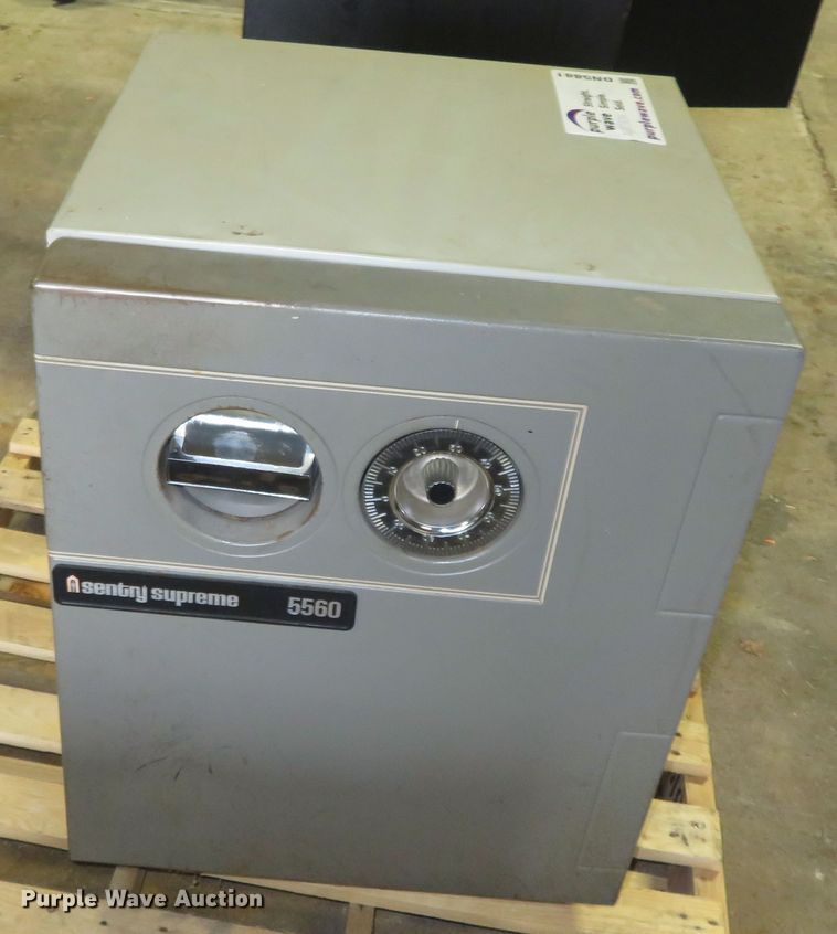 image for item DN5881 Sentry Supreme 5560  safe