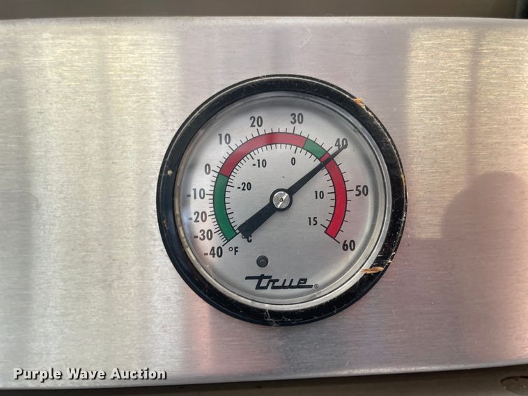 image for item IC9253 True T-23F freezer