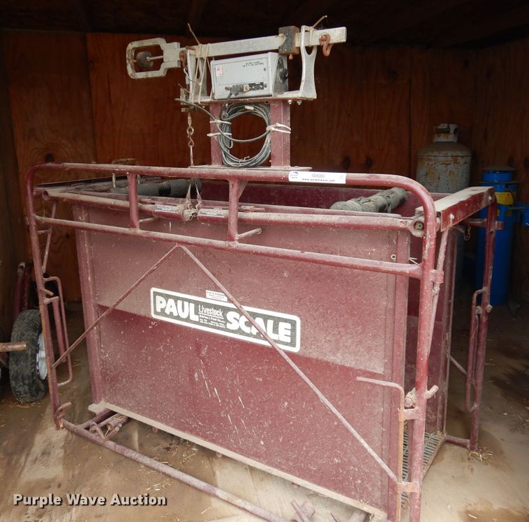 image for item IS9080 Paul livestock scale