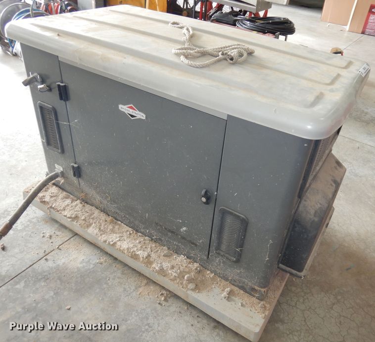 image for item IS9132 Briggs & Stratton 040226  20000 series generator