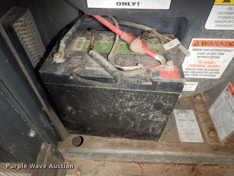 image for item IS9132 Briggs & Stratton 040226  20000 series generator