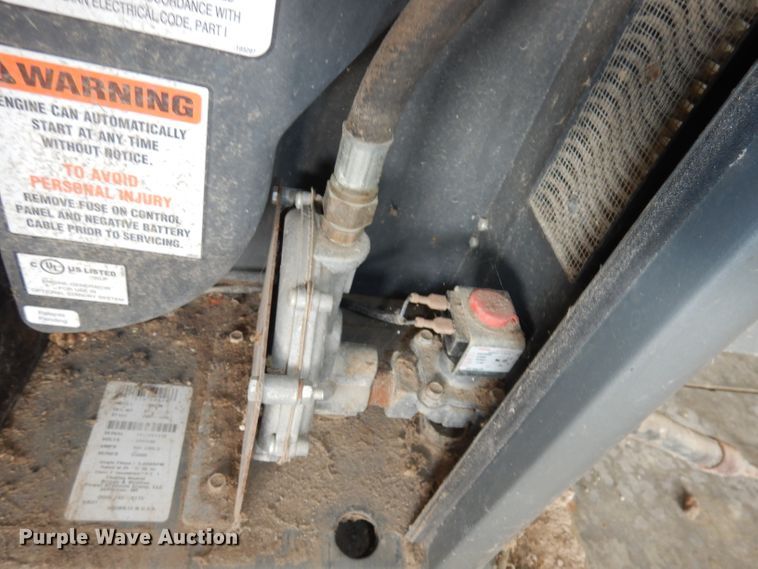 image for item IS9132 Briggs & Stratton 040226  20000 series generator