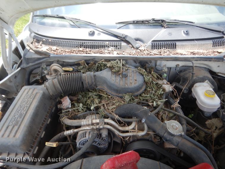 image for item IP9968 2000 Dodge Dakota  Club Cab pickup truck