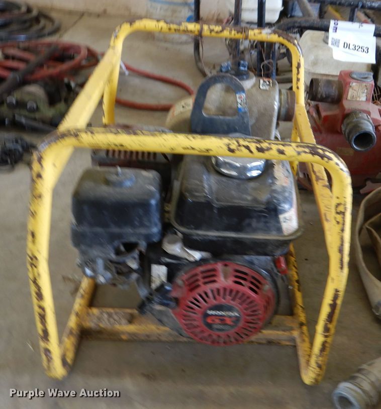 image for item DL3253 (3) water pumps