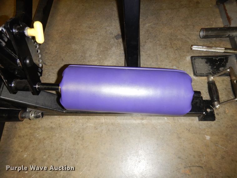 image for item IW9885 Pro Star leg curl machine