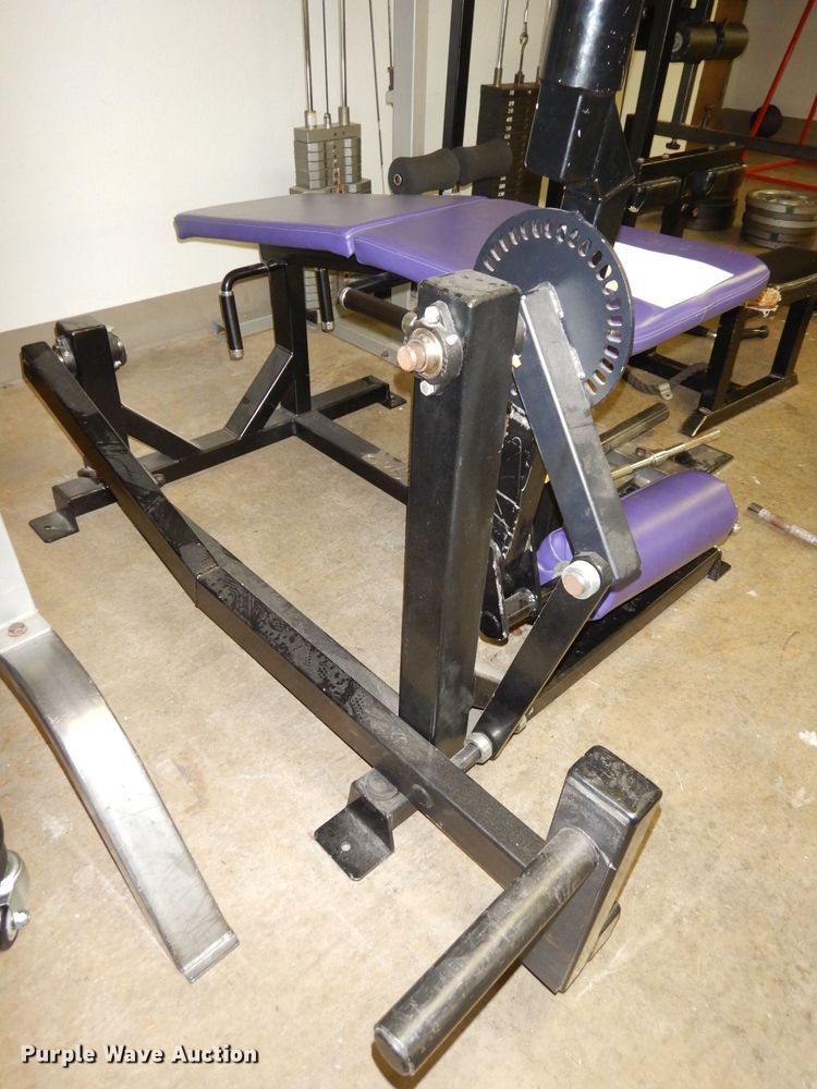 image for item IW9885 Pro Star leg curl machine