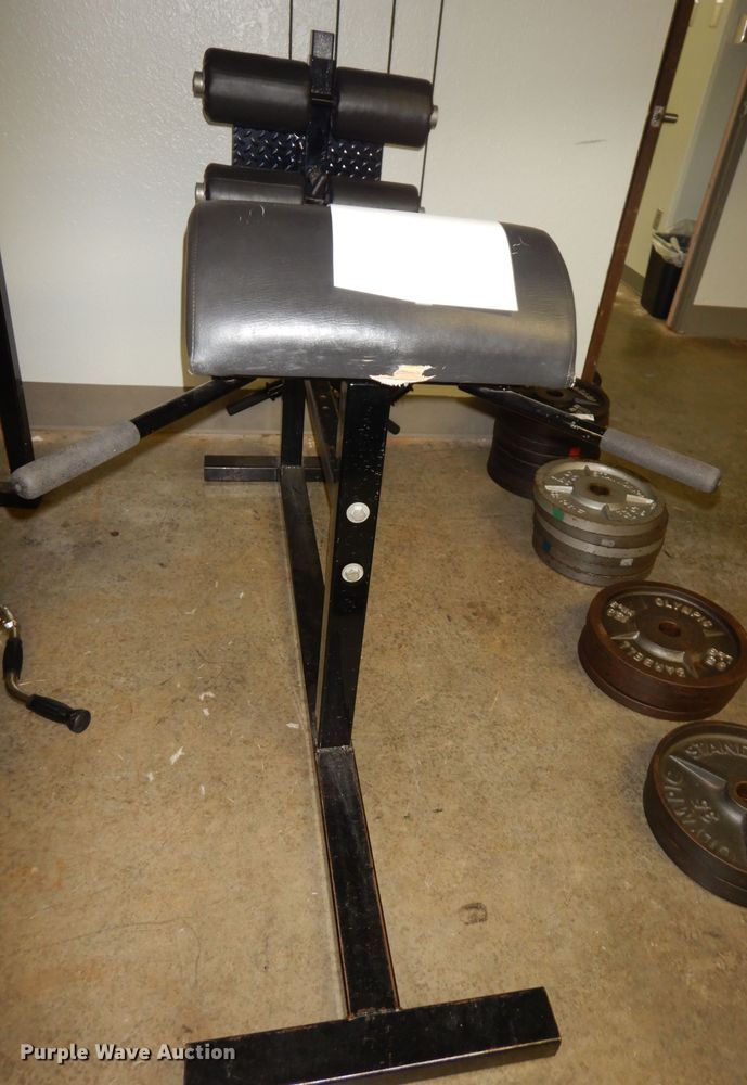 image for item IW9888 Glute/hamstring development machine