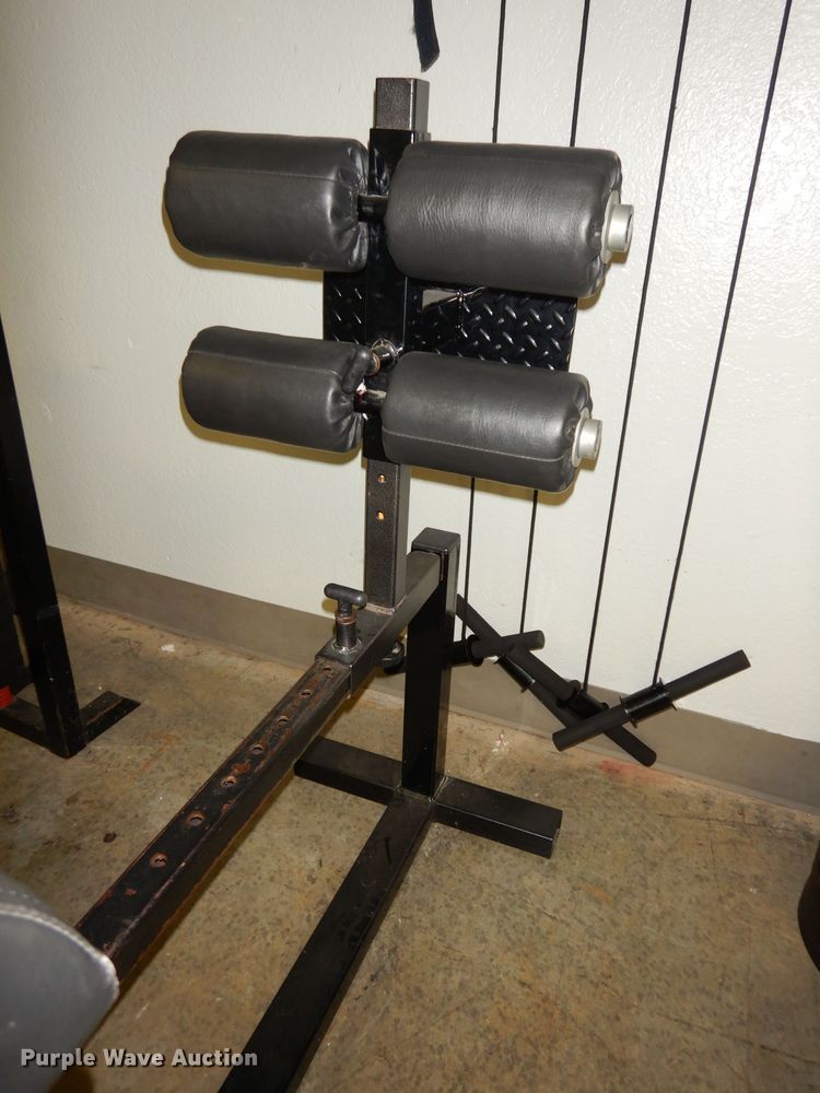 image for item IW9888 Glute/hamstring development machine