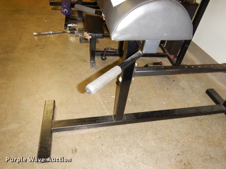 image for item IW9888 Glute/hamstring development machine