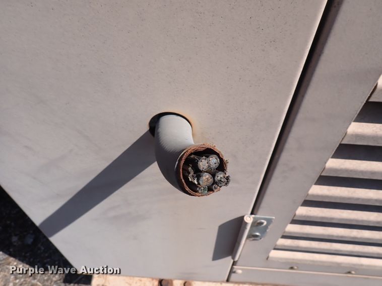 image for item EV9923 NRG D30SA  generator