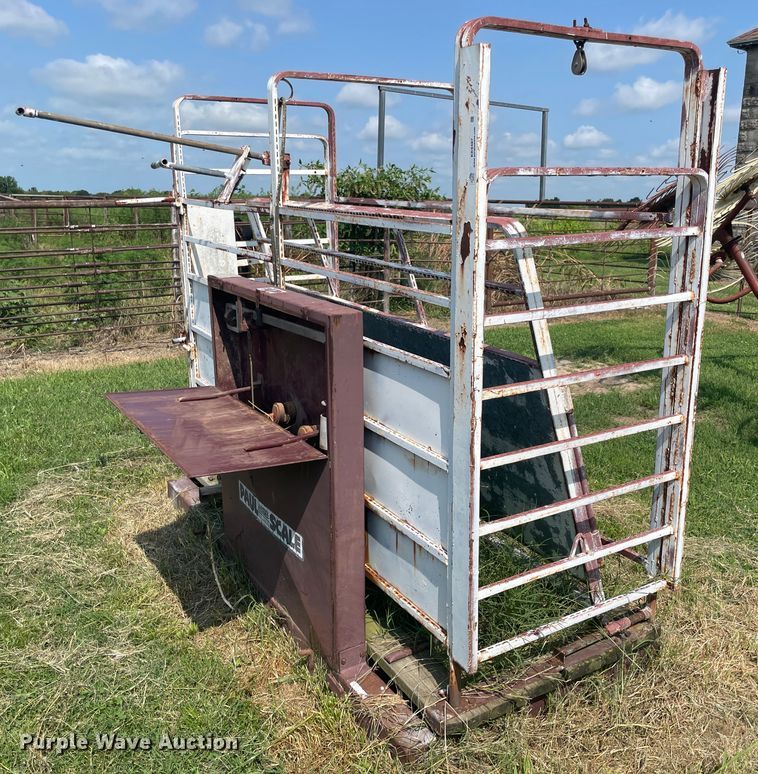 image for item KK9487 Paul  livestock scale