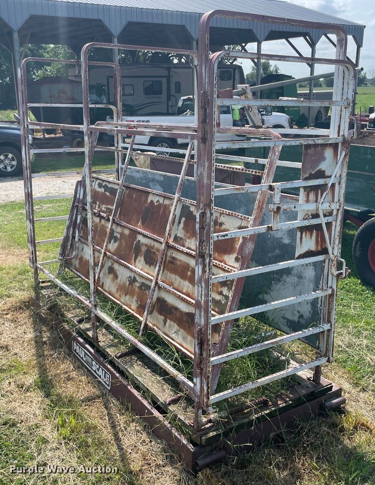 image for item KK9487 Paul  livestock scale