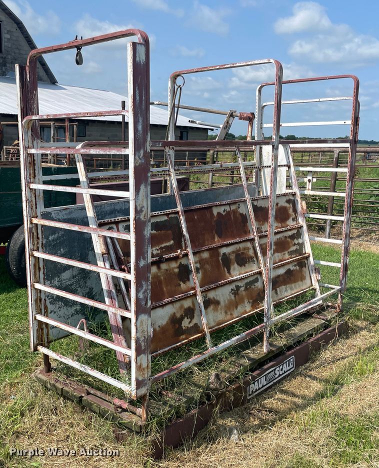 image for item KK9487 Paul  livestock scale