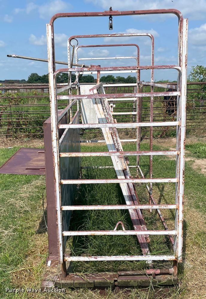 image for item KK9487 Paul  livestock scale