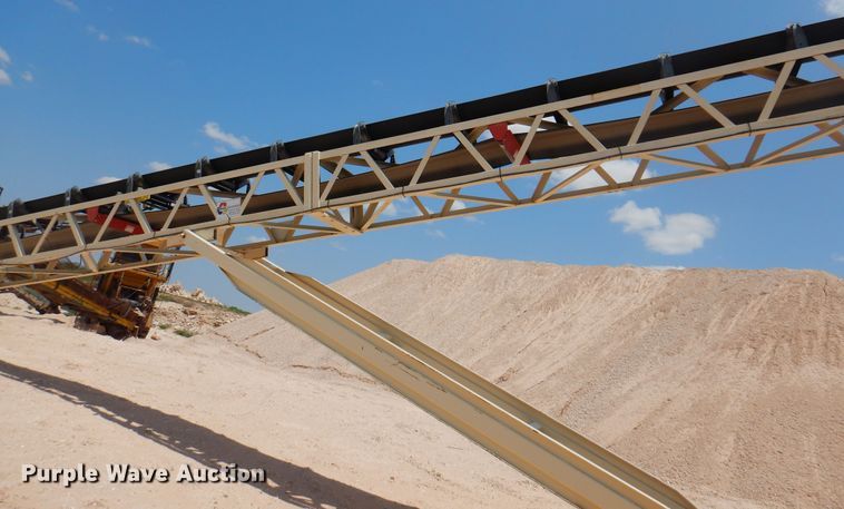 image for item DK2289 Excel radial stacking conveyor