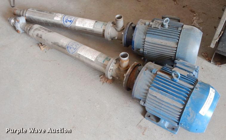 image for item KI9598 (2) T&T pumps