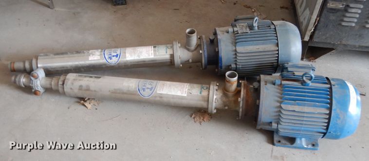 image for item KI9598 (2) T&T pumps
