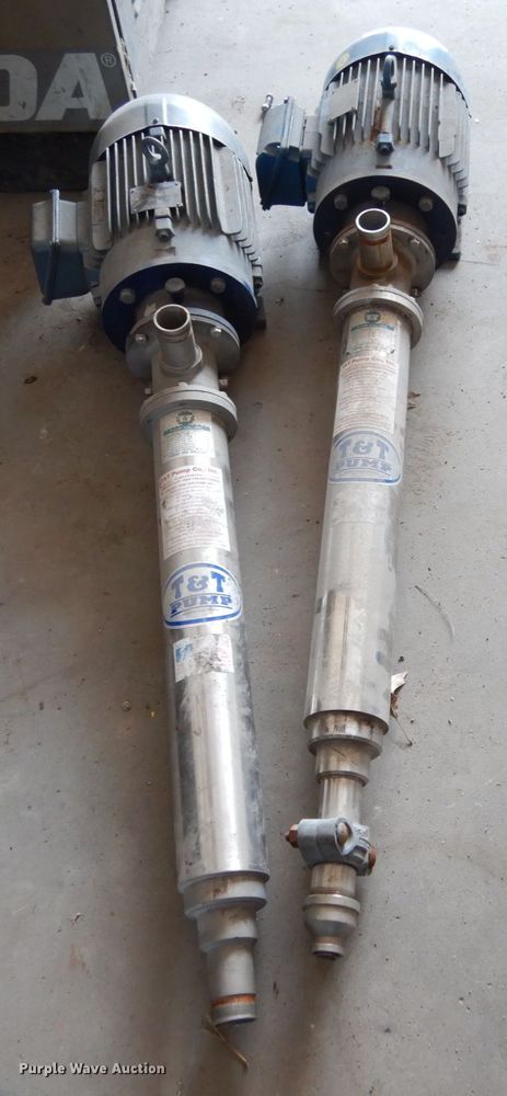 image for item KI9598 (2) T&T pumps
