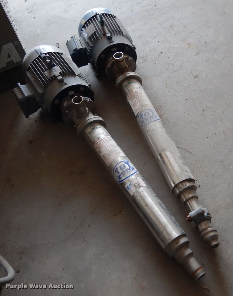 image for item KI9598 (2) T&T pumps