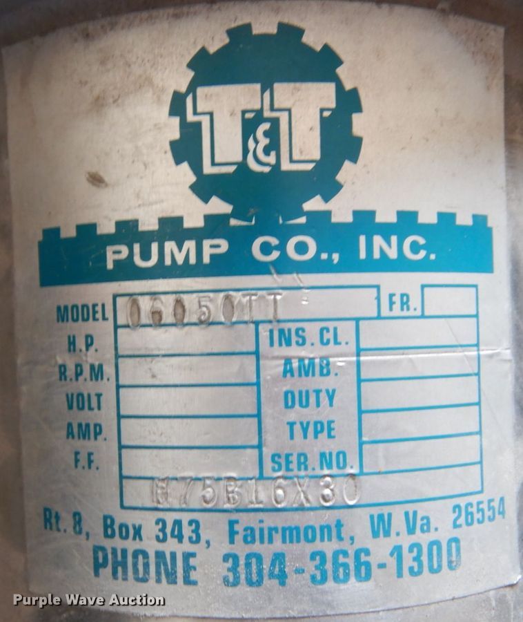 image for item KI9598 (2) T&T pumps