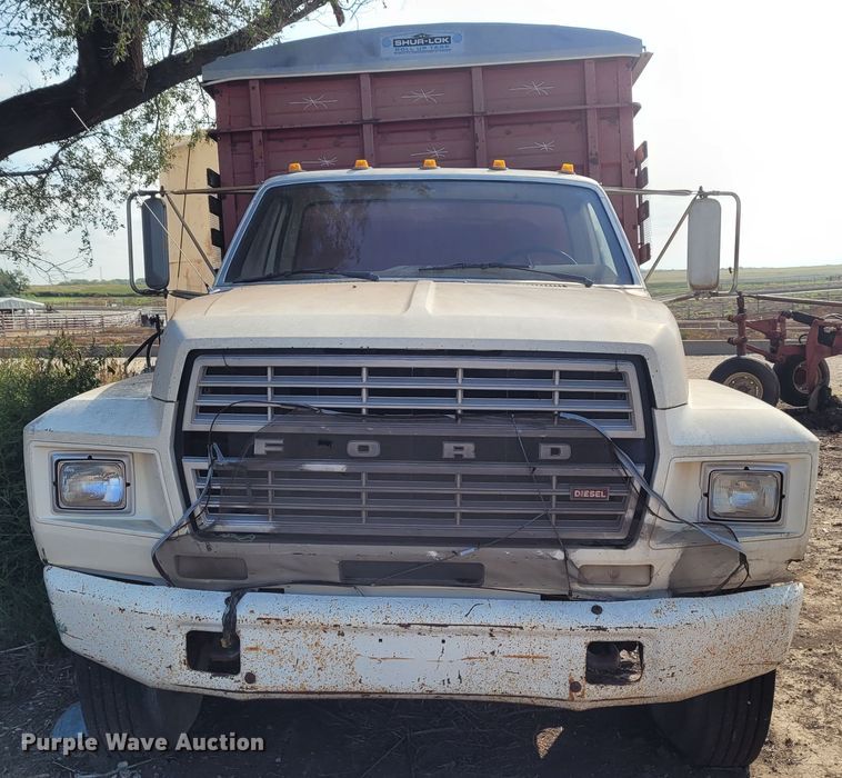 image for item DG3545 1980 Ford  grain truck