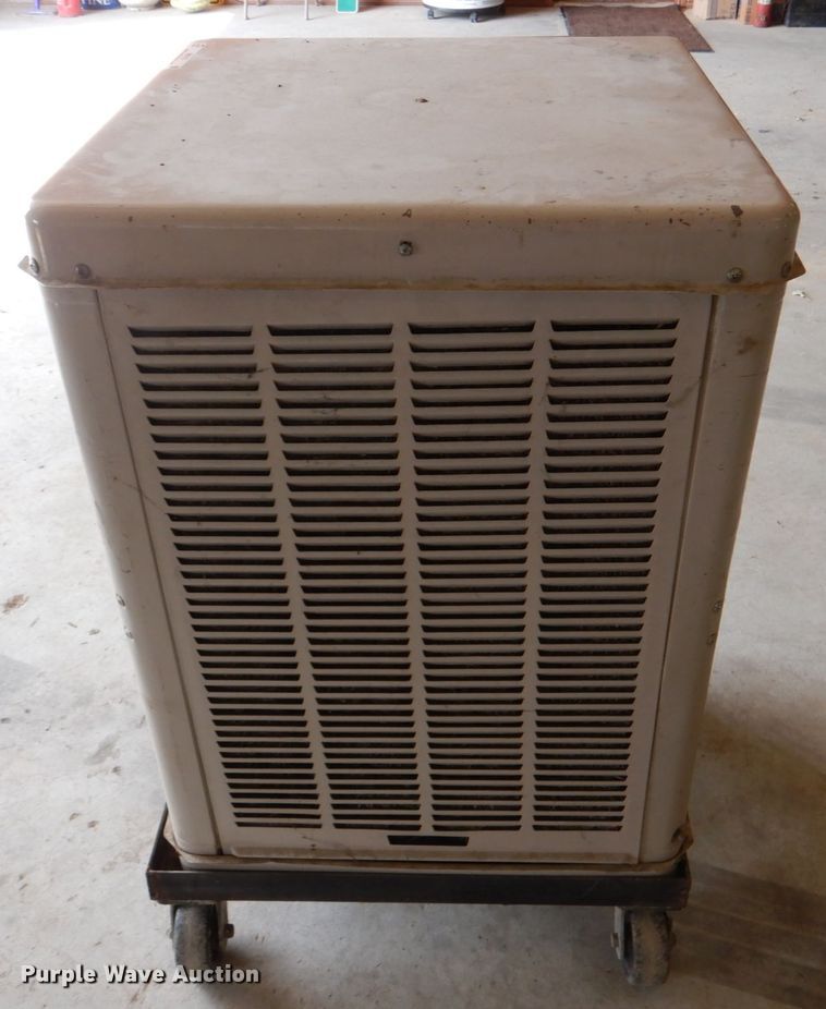 image for item IR9170 2001 Marquis WM43 cooler