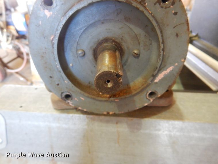 image for item EX9708 Woods electric motor