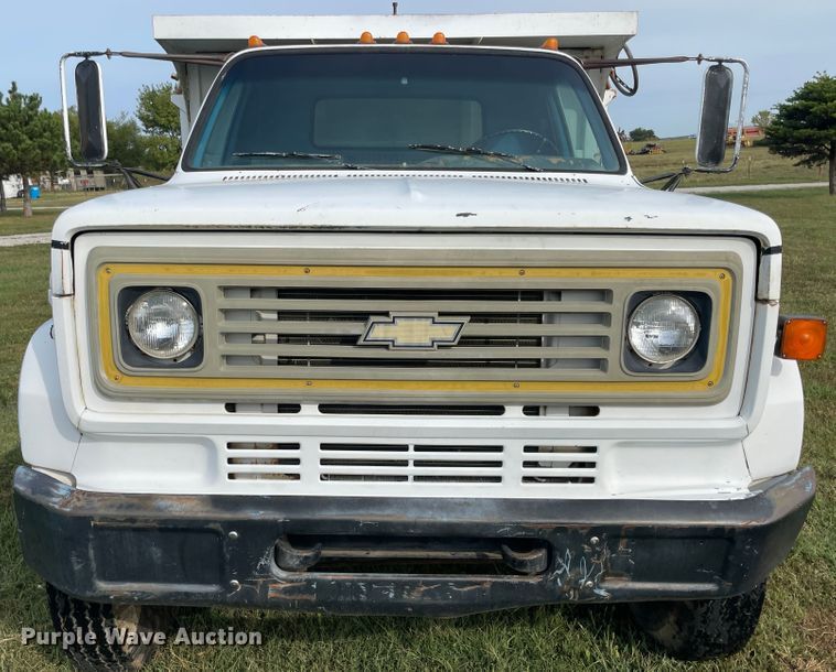 image for item JQ9510 1980 Chevrolet C70  dump truck