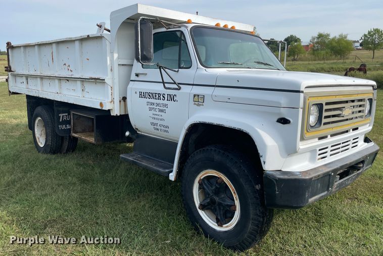 image for item JQ9510 1980 Chevrolet C70  dump truck
