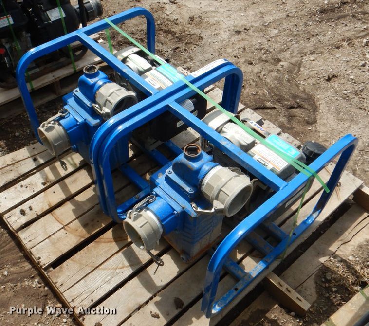 image for item IK9498 (2) AMT pumps