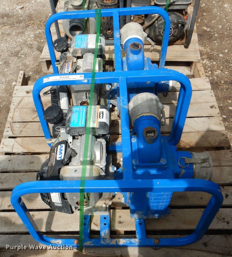 image for item IK9498 (2) AMT pumps