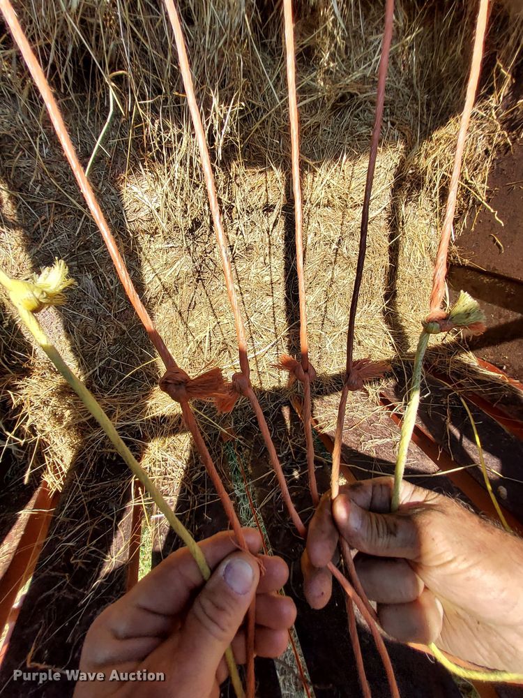 image for item DM5192 1988 Hesston 4900  large square baler