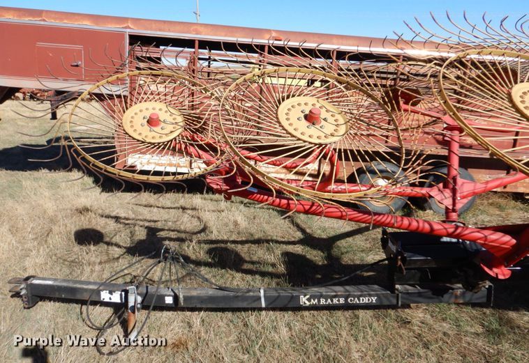 image for item IV9749 Tonutti  hay rake