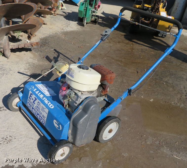 image for item DN7791 Blue Bird S22BD5DA  overseeder