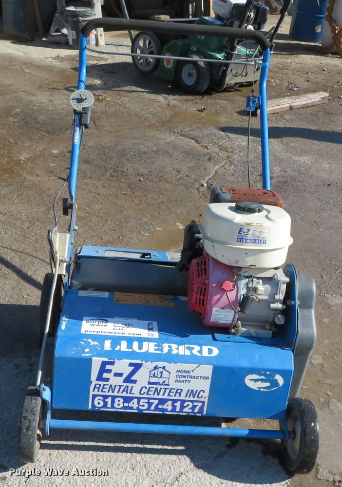 image for item DN7791 Blue Bird S22BD5DA  overseeder