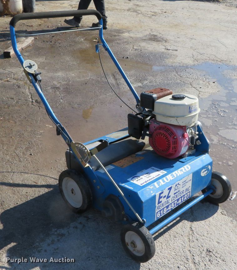 image for item DN7791 Blue Bird S22BD5DA  overseeder