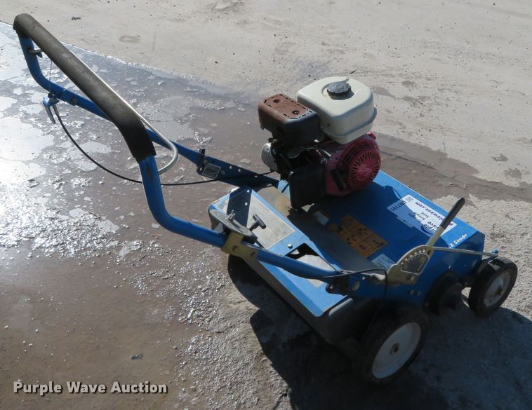 image for item DN7791 Blue Bird S22BD5DA  overseeder