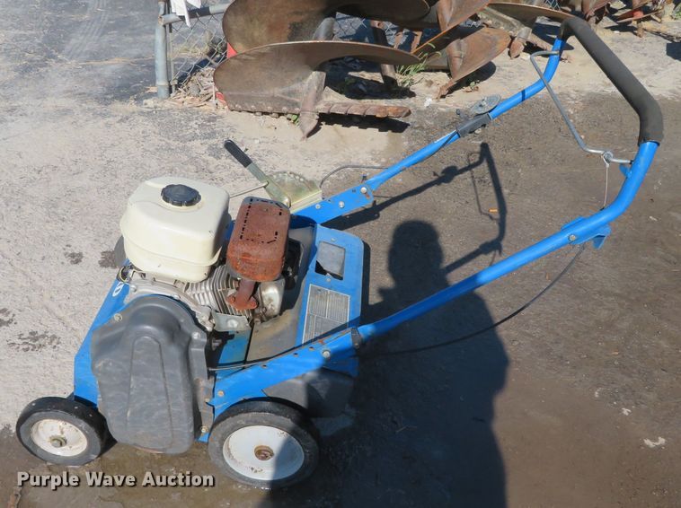 image for item DN7791 Blue Bird S22BD5DA  overseeder