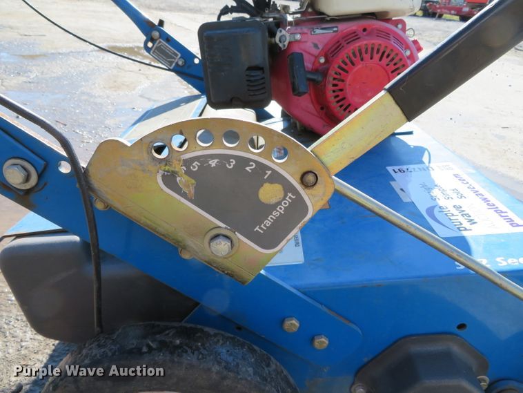 image for item DN7791 Blue Bird S22BD5DA  overseeder