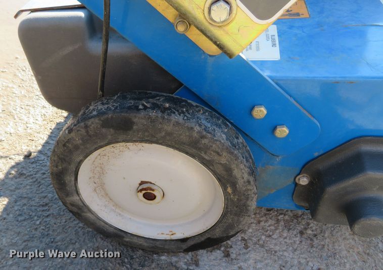 image for item DN7791 Blue Bird S22BD5DA  overseeder