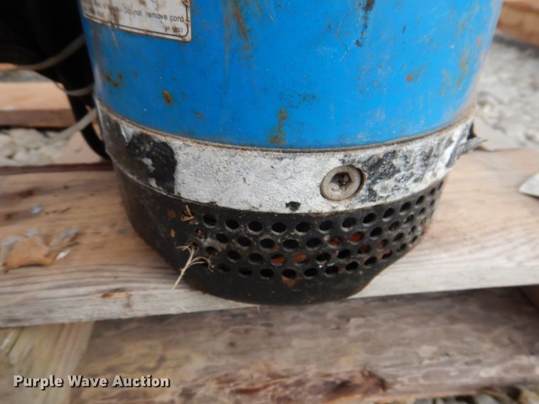 image for item KA9489 (3) pumps